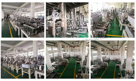 ZH-BL14 Dry Meat Biltong Pet Food Packaging Machine